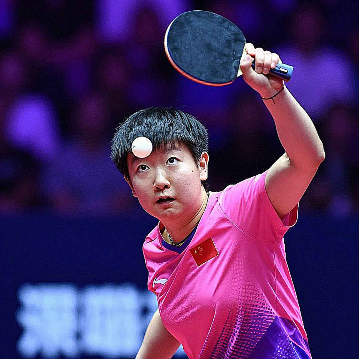 The Empty Dossier and Data Discipline: What Table Tennis Must Fix Before the New Season