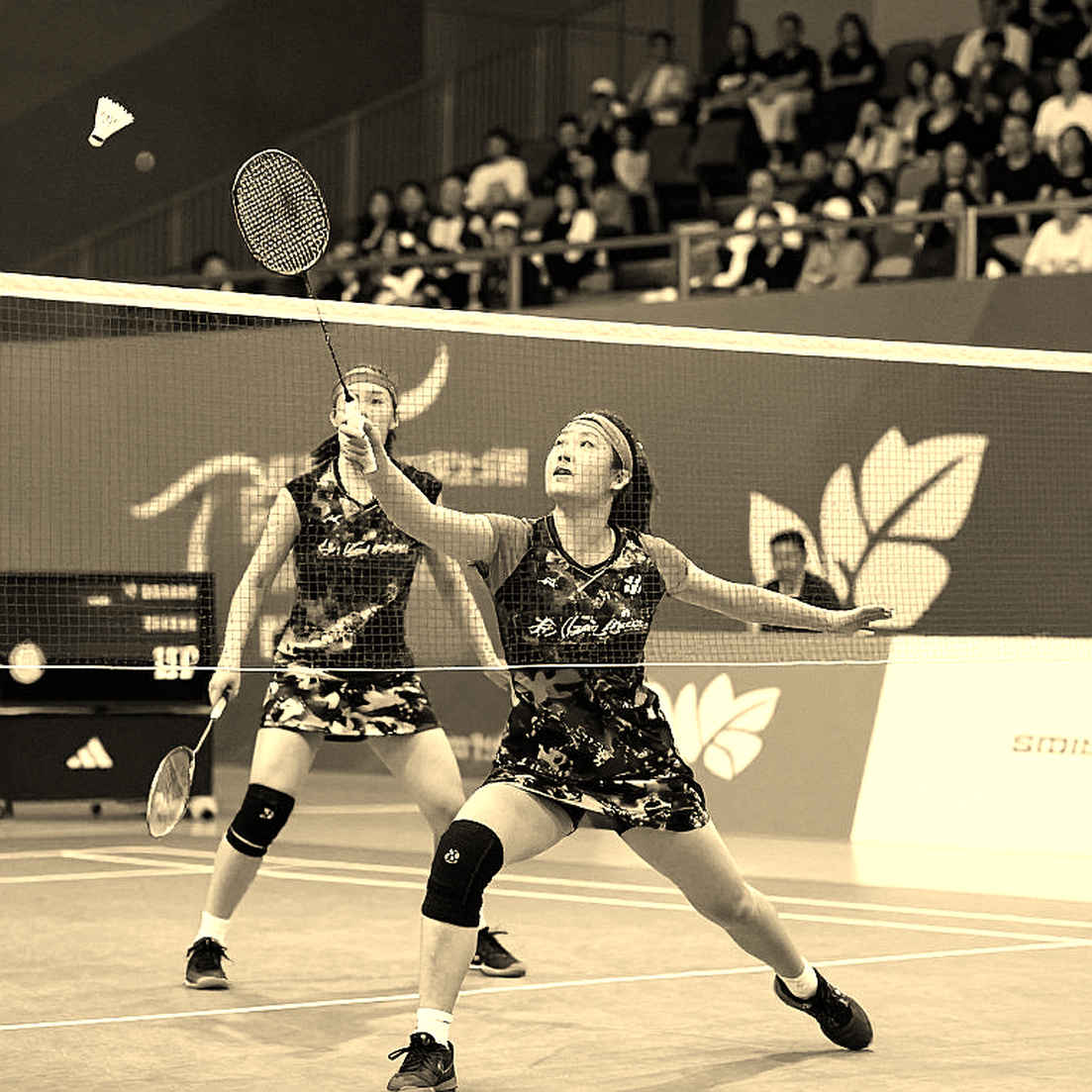 An Se-young defends Asian Games 2026 gold: ten straight games and 46 titles still pending verification