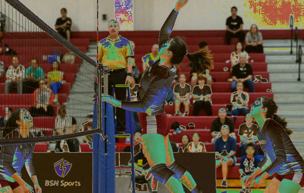 Vietnamese Volleyball: Deep Professional Analysis and Issues to Acknowledge Vietnamese Volleyball: Deep Professional Analysis and Issues to Acknowledge
