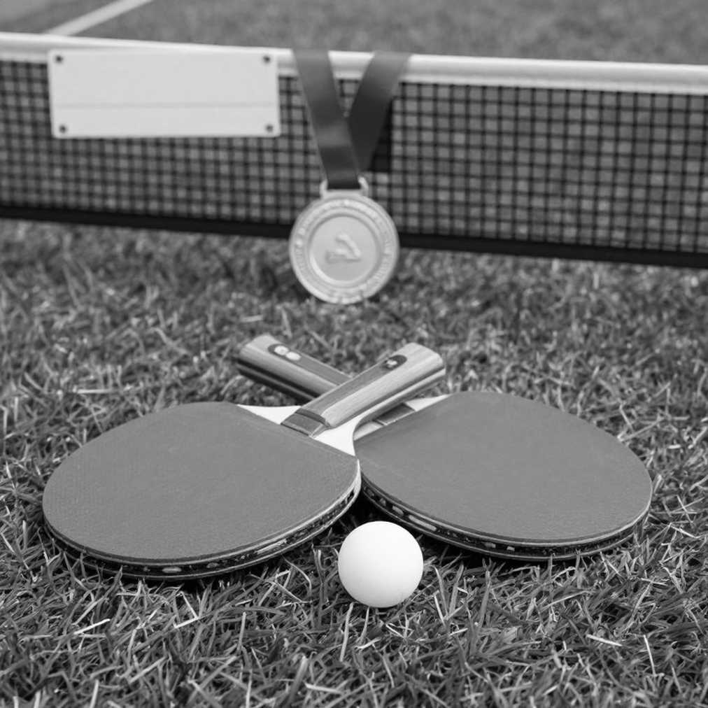 When Table Tennis England Publishes How Member Fees Are Spent: A Butterfly Table and the London 2026 Story When Table Tennis England Publishes How Member Fees Are Spent: A Butterfly Table and the London 2026 Story