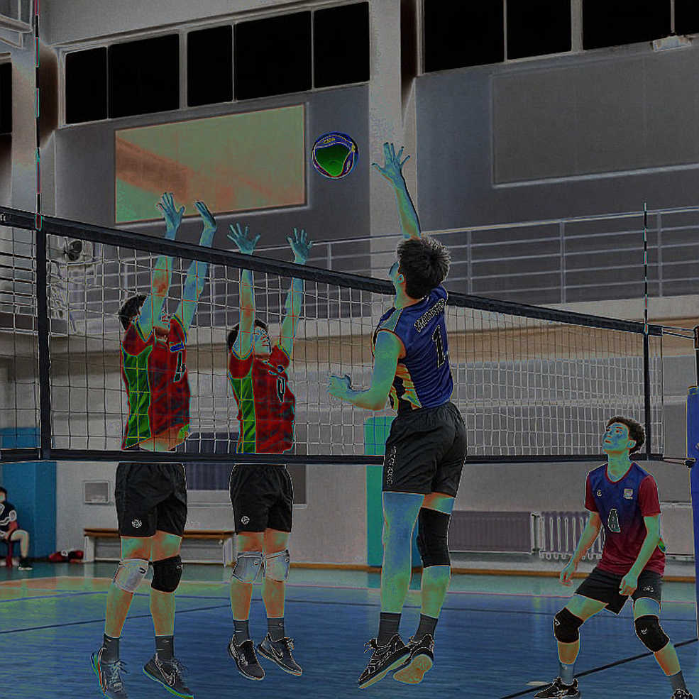 VNL 2026 chọn Anaheim: Cuộc tổng duyệt mang tên Olympic 2028 VNL 2026 chọn Anaheim: Cuộc tổng duyệt mang tên Olympic 2028